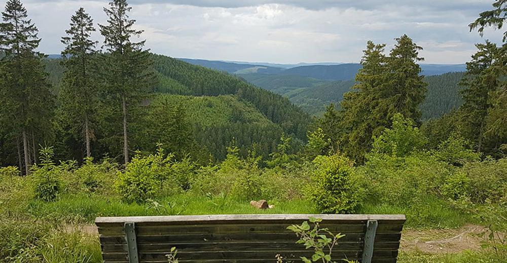 Ferienhaus Astenblick - Ideal Fuer Weihnachtsfeiern Und Familienfeiern Bietet Schlafplaetze Fuer Bis Zu 35 Personen Villa Winterberg Exterior photo